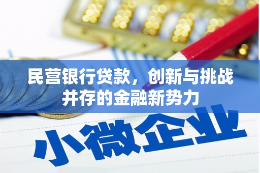 天桥民营银行贷款，创新与挑战并存的金融新势力