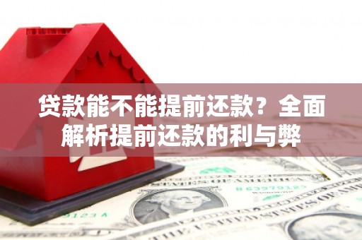 新河贷款能不能提前还款？全面解析提前还款的利与弊