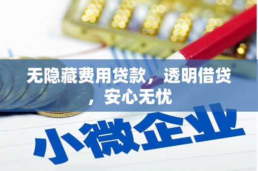 台儿庄无隐藏费用贷款，透明借贷，安心无忧