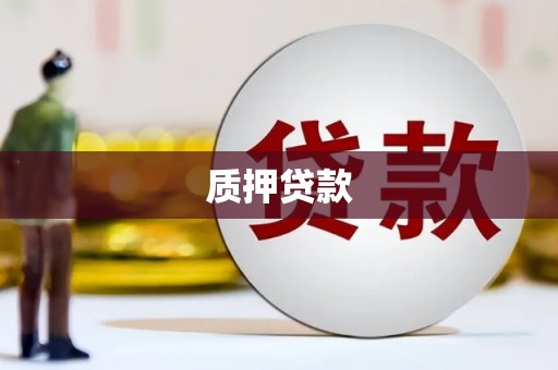 万里质押贷款