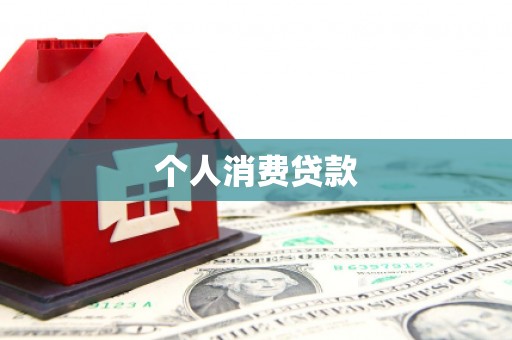 杂多个人消费贷款