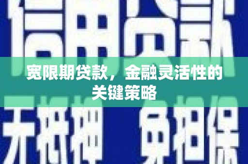 弋阳宽限期贷款，金融灵活性的关键策略