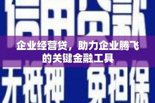 鹿谷企业经营贷，助力企业腾飞的关键金融工具