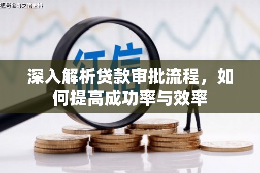 龙文深入解析贷款审批流程，如何提高成功率与效率