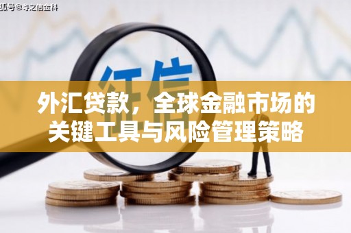 水里外汇贷款，全球金融市场的关键工具与风险管理策略