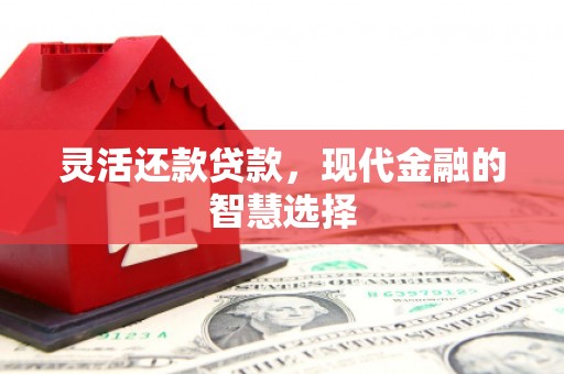官渡灵活还款贷款，现代金融的智慧选择