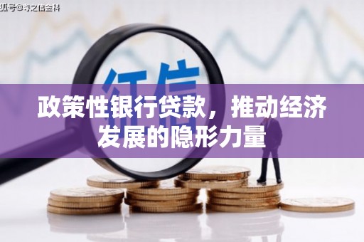 容县政策性银行贷款，推动经济发展的隐形力量