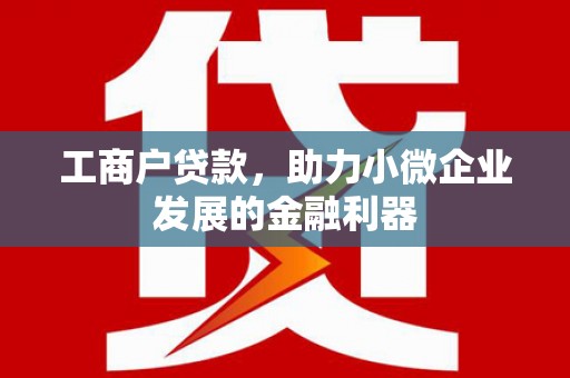 龙文工商户贷款，助力小微企业发展的金融利器