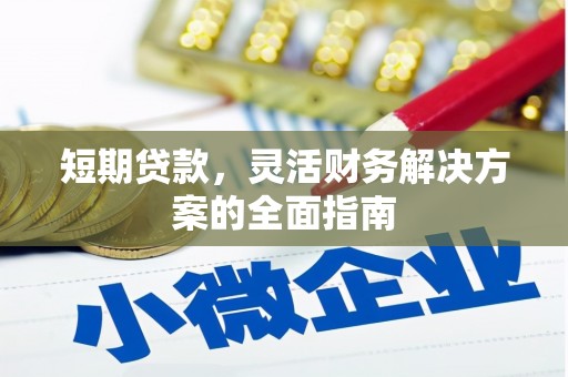 莱城短期贷款，灵活财务解决方案的全面指南
