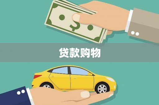 镇安贷款购物