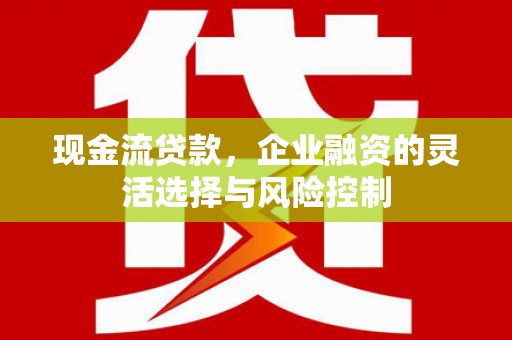 谯城现金流贷款，企业融资的灵活选择与风险控制