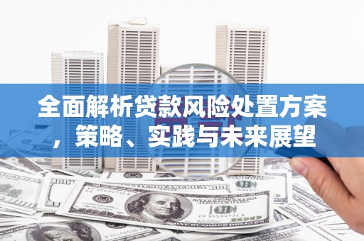 埌东全面解析贷款风险处置方案，策略、实践与未来展望