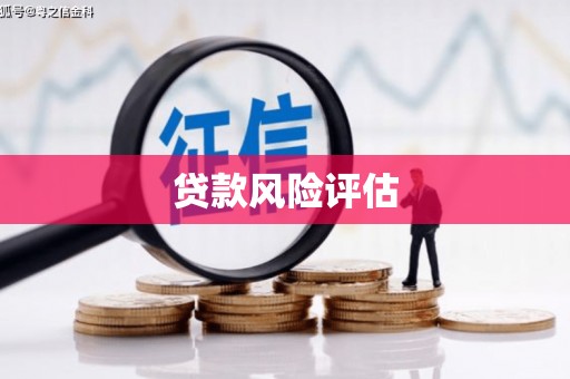 献县贷款风险评估