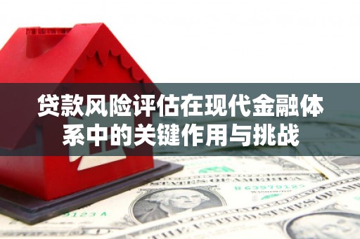 澜沧贷款风险评估在现代金融体系中的关键作用与挑战