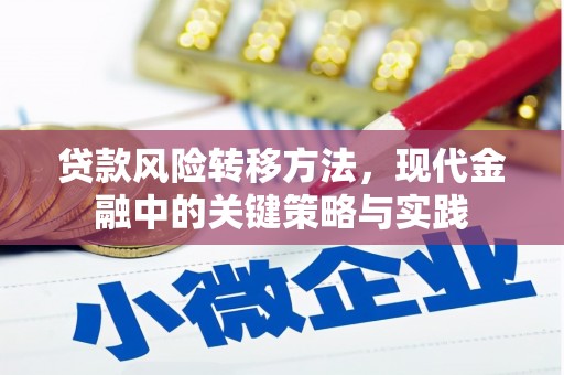 乐东贷款风险转移方法，现代金融中的关键策略与实践