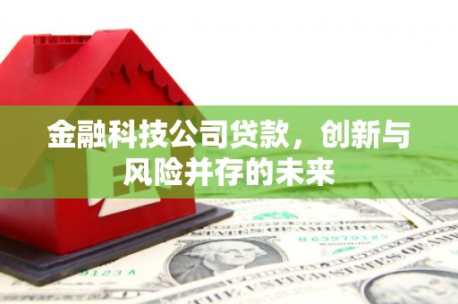 金昌金融科技公司贷款，创新与风险并存的未来