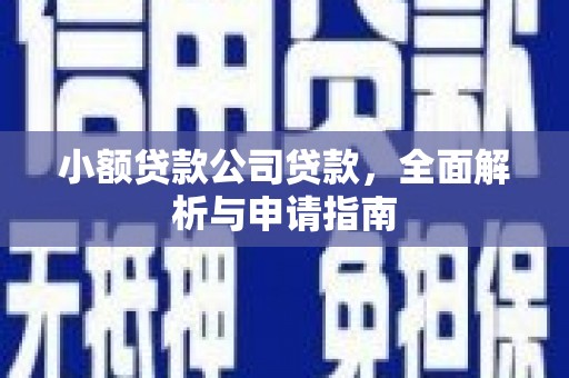 定结小额贷款公司贷款，全面解析与申请指南