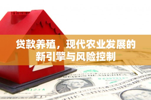 凤凰贷款养殖，现代农业发展的新引擎与风险控制