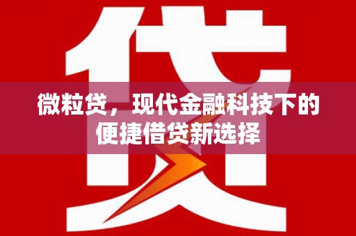 清河微粒贷，现代金融科技下的便捷借贷新选择
