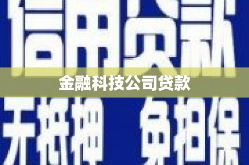 林园金融科技公司贷款
