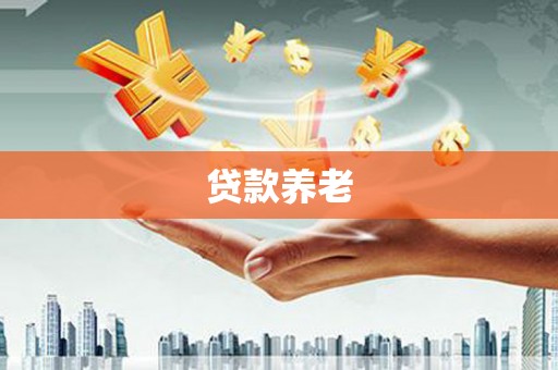 沧源贷款养老