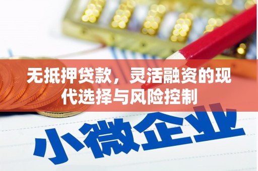 盐田无抵押贷款，灵活融资的现代选择与风险控制