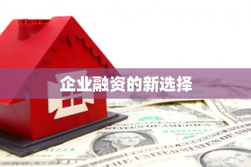 青浦企业融资的新选择