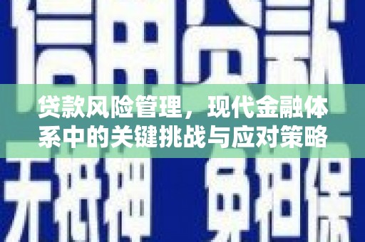 青河贷款风险管理，现代金融体系中的关键挑战与应对策略