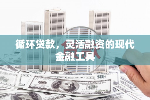 安乡循环贷款，灵活融资的现代金融工具