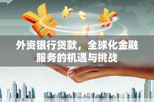 弥勒外资银行贷款，全球化金融服务的机遇与挑战