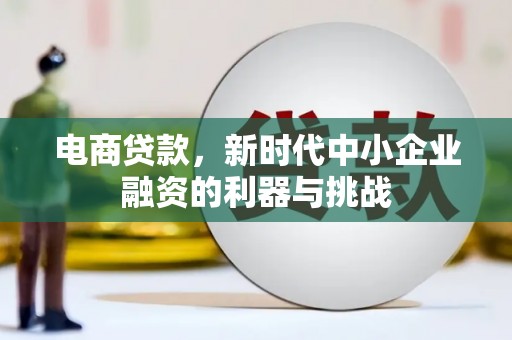 龙潭电商贷款，新时代中小企业融资的利器与挑战