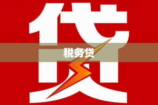 谯城税务贷