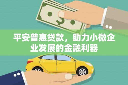 乐东平安普惠贷款，助力小微企业发展的金融利器