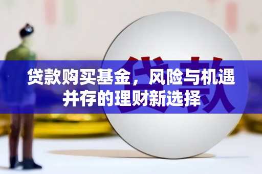 天峨贷款购买基金，风险与机遇并存的理财新选择
