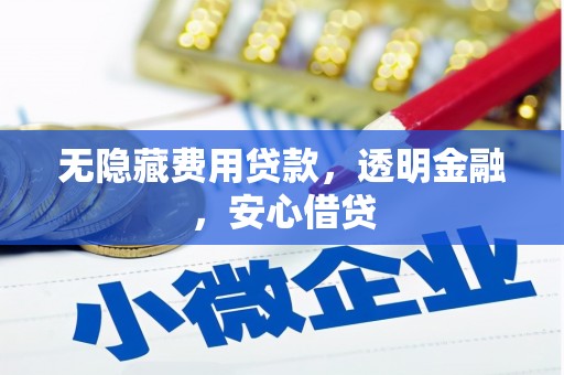 池州无隐藏费用贷款，透明金融，安心借贷