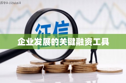 固阳企业发展的关键融资工具