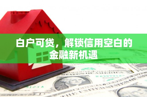 青山湖白户可贷，解锁信用空白的金融新机遇