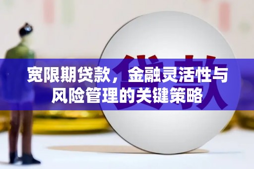 莎车宽限期贷款，金融灵活性与风险管理的关键策略