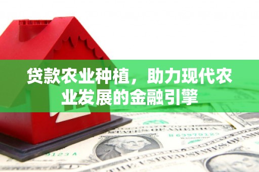 掇刀贷款农业种植，助力现代农业发展的金融引擎