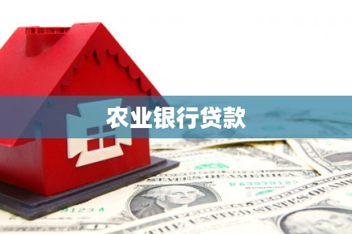 鹤庆农业银行贷款