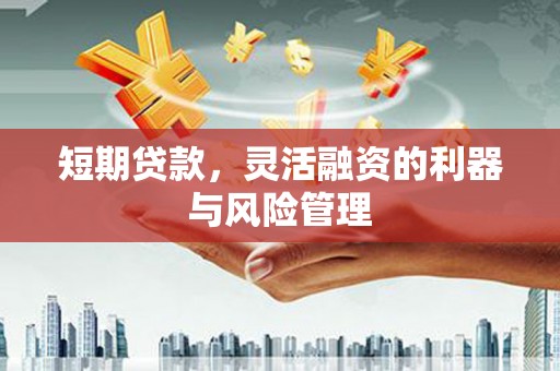 新抚短期贷款，灵活融资的利器与风险管理