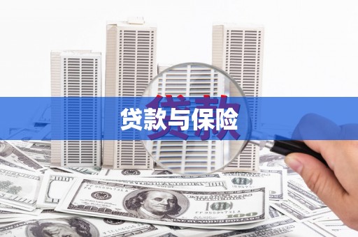 七美贷款与保险