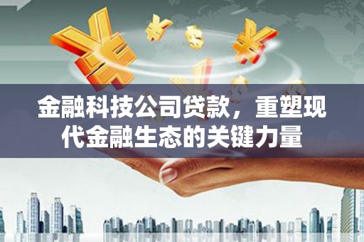 大溪金融科技公司贷款，重塑现代金融生态的关键力量