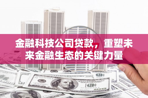 奎屯金融科技公司贷款，重塑未来金融生态的关键力量