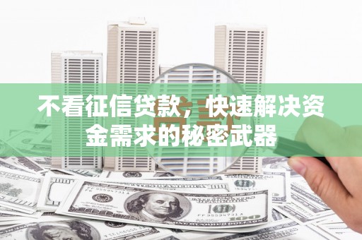 新店不看征信贷款，快速解决资金需求的秘密武器