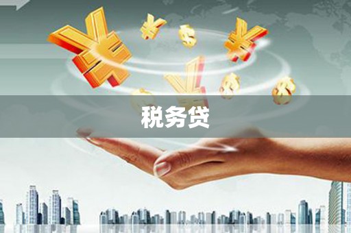 壮围税务贷