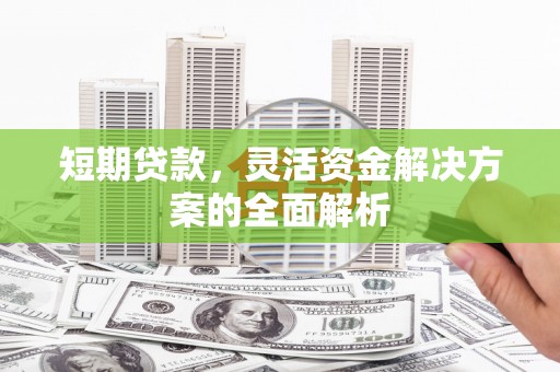 连平短期贷款，灵活资金解决方案的全面解析