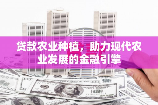 江城贷款农业种植，助力现代农业发展的金融引擎