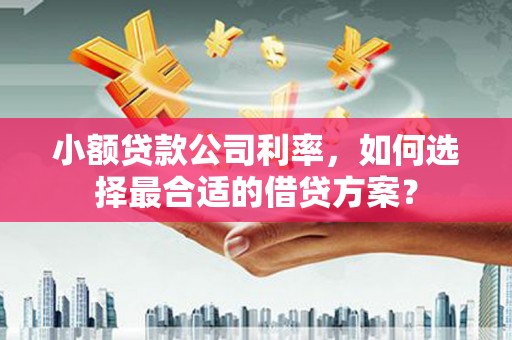 晋中小额贷款公司利率，如何选择最合适的借贷方案？