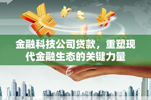 望德堂区金融科技公司贷款，重塑现代金融生态的关键力量